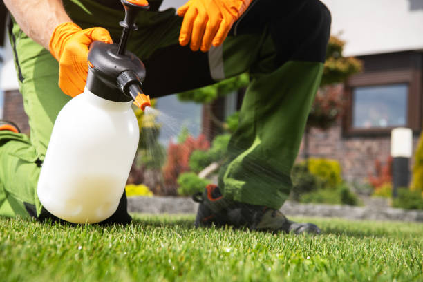 Best Best Pest Control Companies  in Lemay, MO