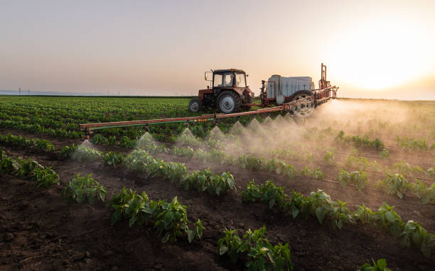 Best Best Pest Control Companies  in Lemay, MO