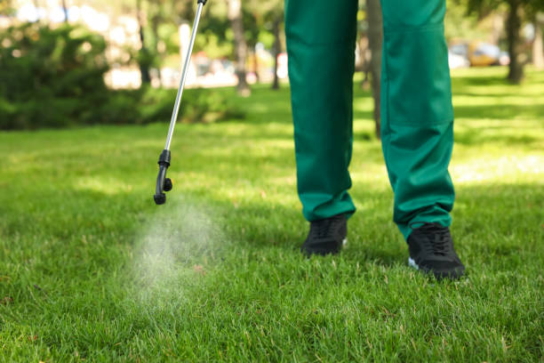Best Cockroach Control Services  in Lemay, MO
