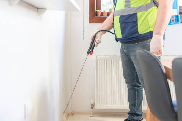 Best Mosquito Control Services  in Lemay, MO